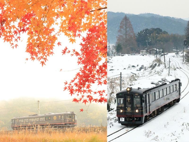 大阪京都奈良自由行|秋冬季丹後黑松號途經之地,也不乏紅葉與雪地景色。(圖片來源:PR TIMES/ WILLER TRAINS 株式会社)