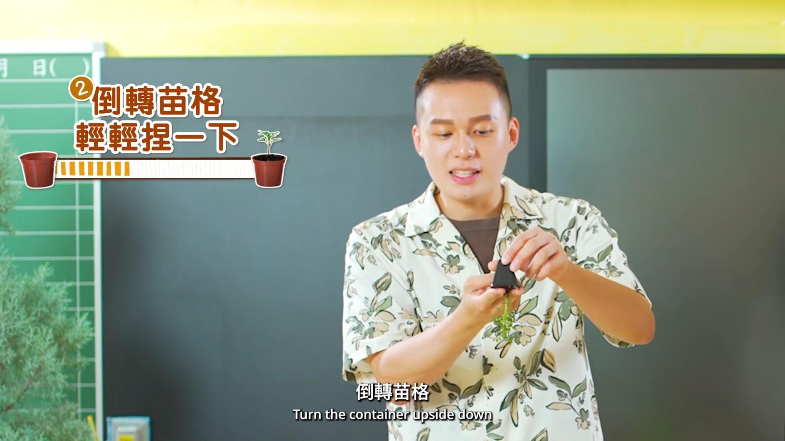 一人一花2023丨拿出花苗時要輕力