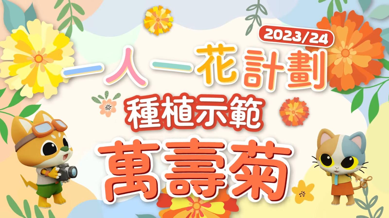 一人一花2023丨萬壽菊是今年派發花苗