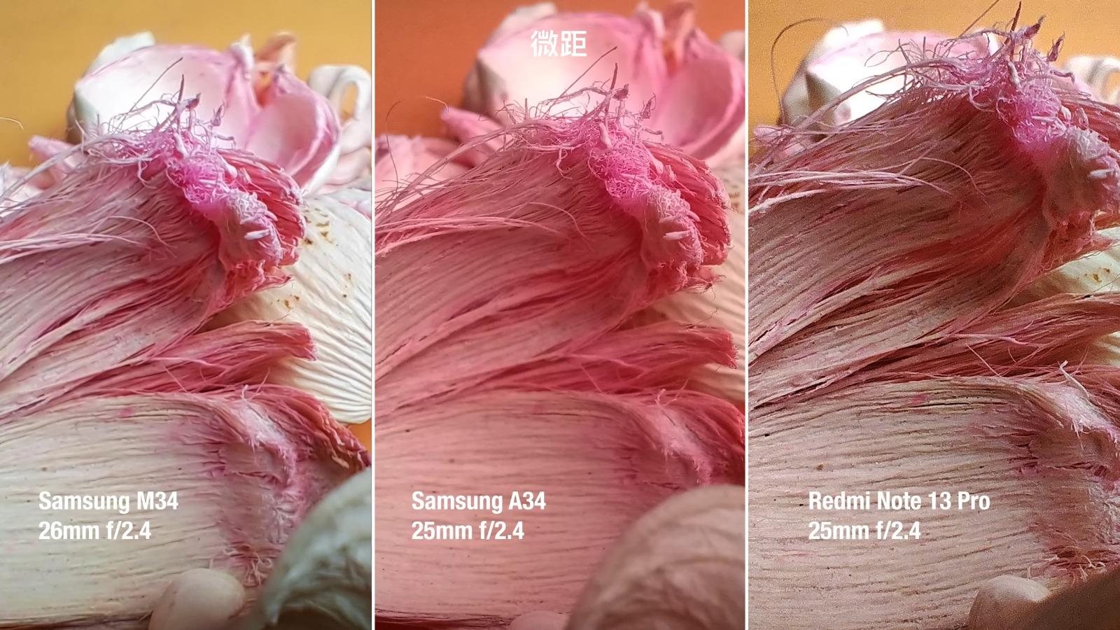 Samsung M34 Vs A34 Vs 紅米Note 13 Pro 攝影功能比較,微距Note 13 Pro最好