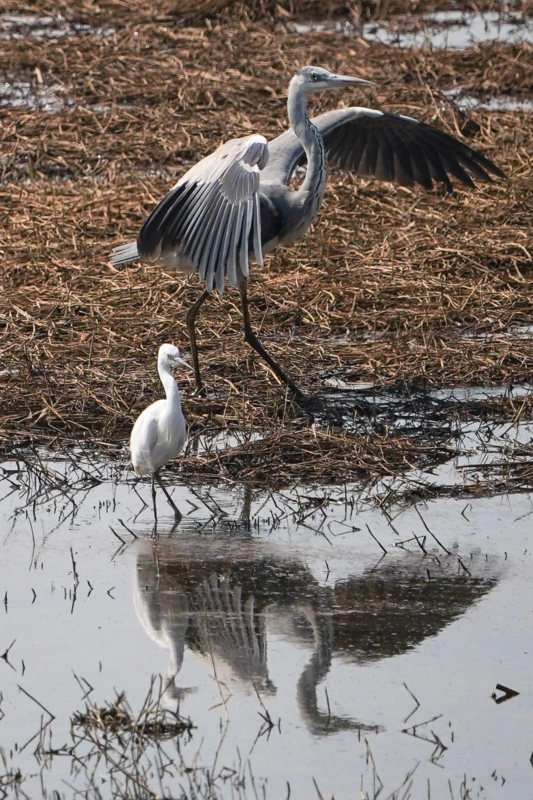 世界自然基金會賽馬會米埔斯科特訪客中心開幕。