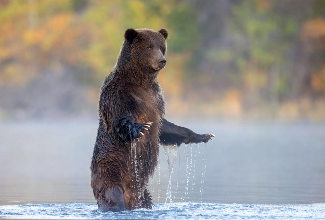 國際野生動物攝影大賽25強作品
