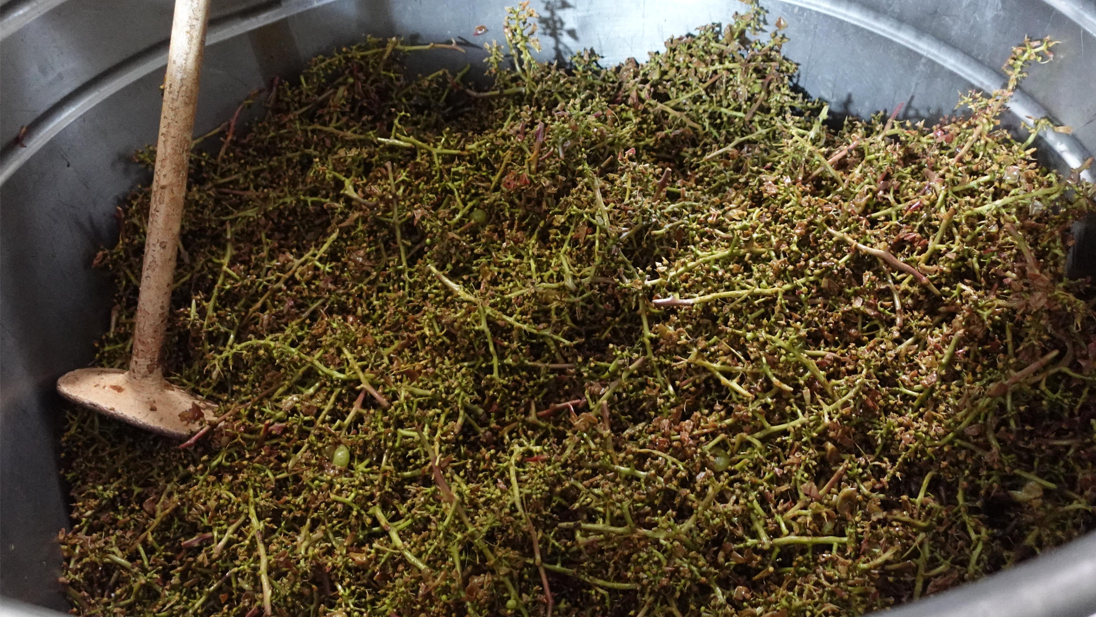 由工作人員帶大家參觀酒廠內部設施