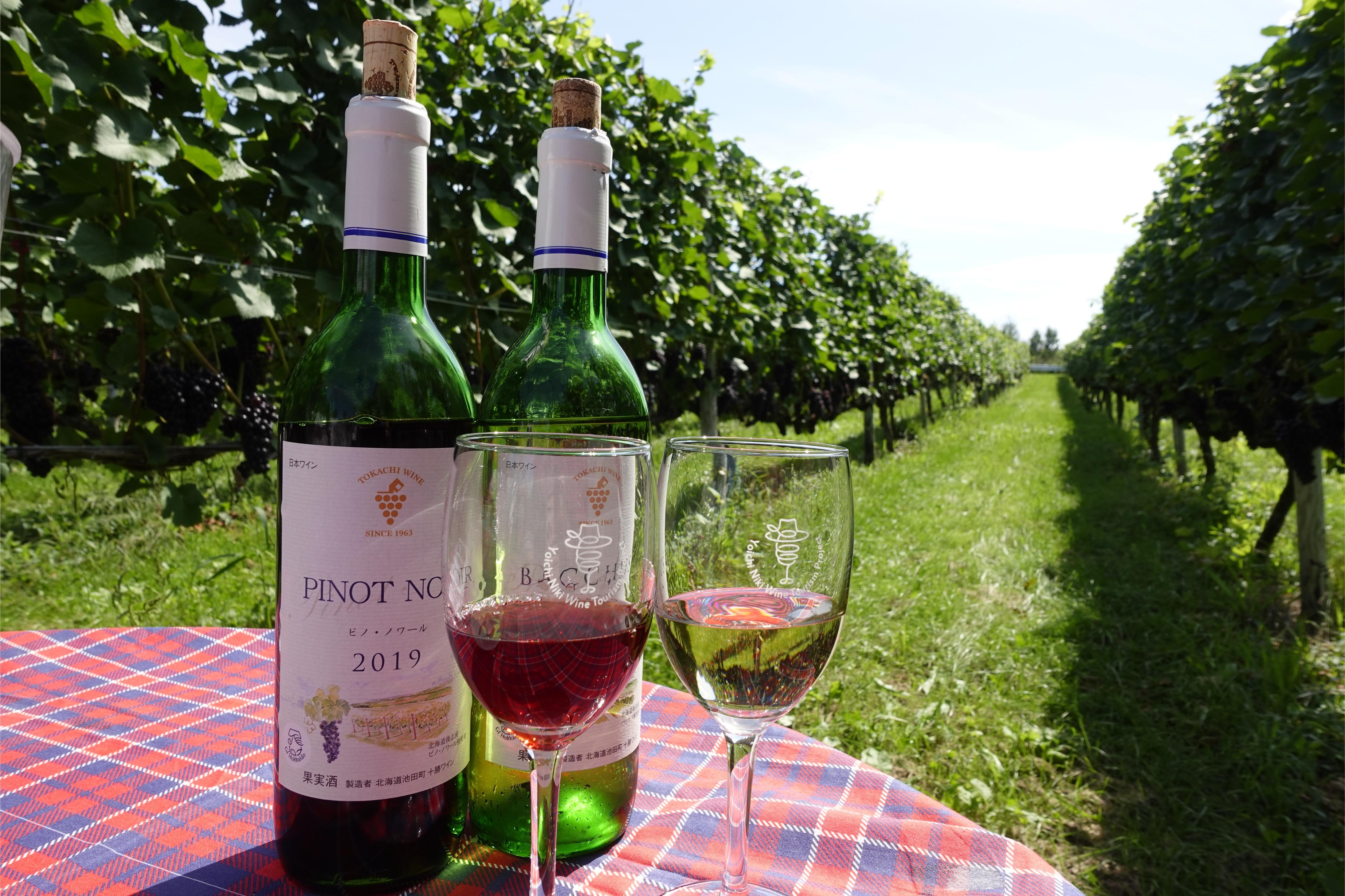 大家可以體驗在葡萄田中嘆紅酒!