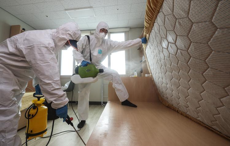 南韓全國多處報告發現床蝨。(網上圖片)