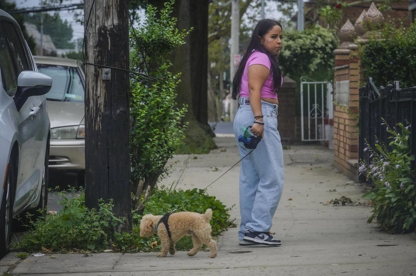 美國多州爆發神秘犬隻呼吸道傳染病。(資料圖片)