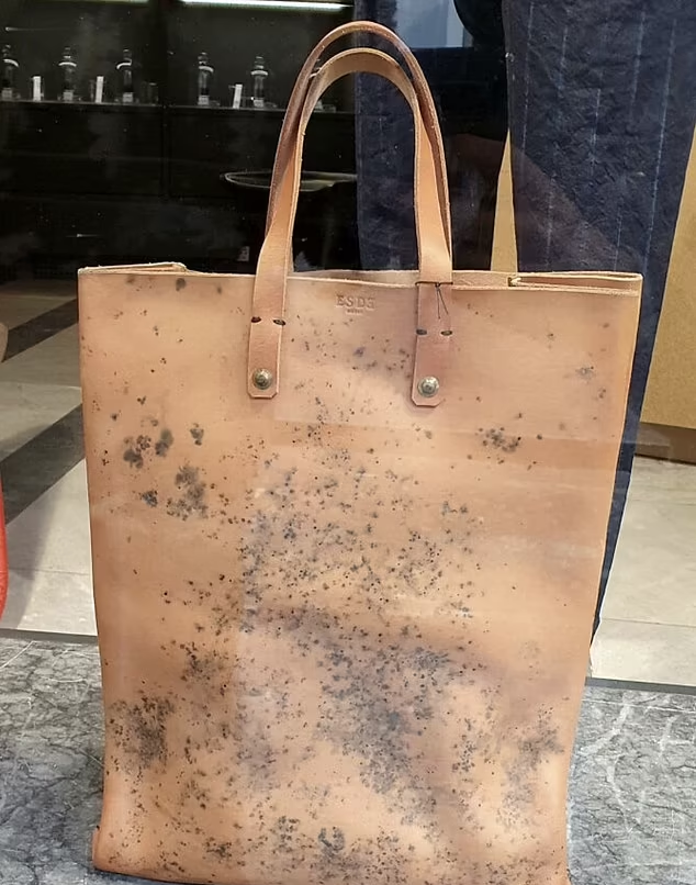 發霉手袋。(互聯網)