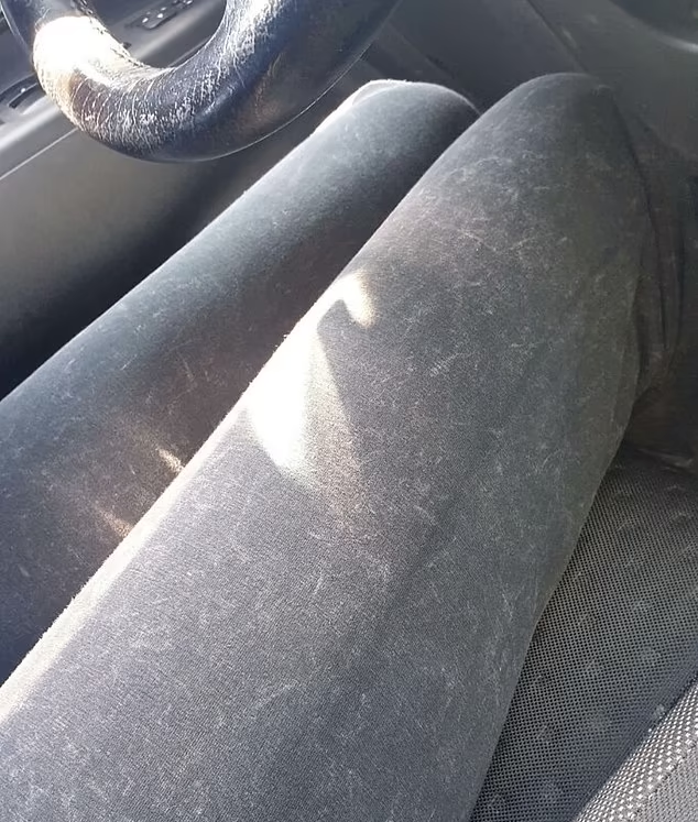 貓/狗毛瑜伽褲。(互聯網)