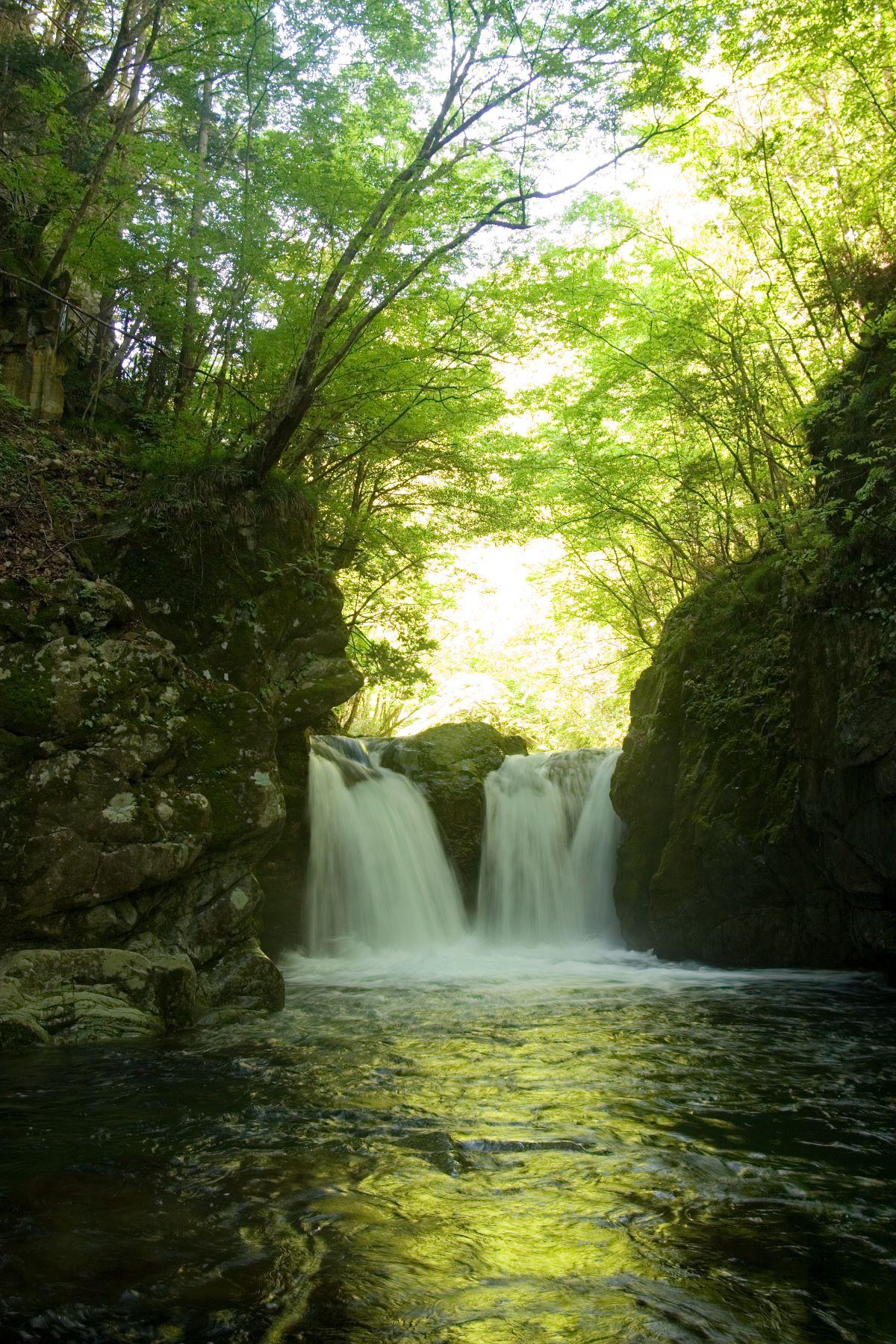 岐阜景點|小坂之瀧在綠林之間沿著梯級與山路慢步,聽著瀑布飛瀉,非常療癒。(圖片來源:來去岐阜)
