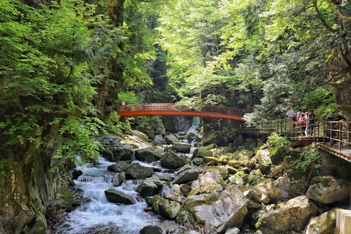 岐阜景點|三瀧路線難度極低,可以自行慢步觀光。(圖片來源:日本見)