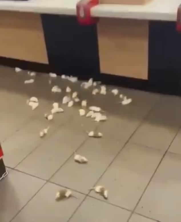 疑似親巴勒斯坦分子襲擊英國麥當勞及星巴克。(互聯網)