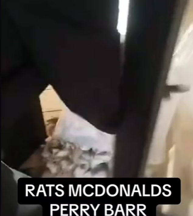 疑似親巴勒斯坦分子襲擊英國麥當勞及星巴克。(互聯網)