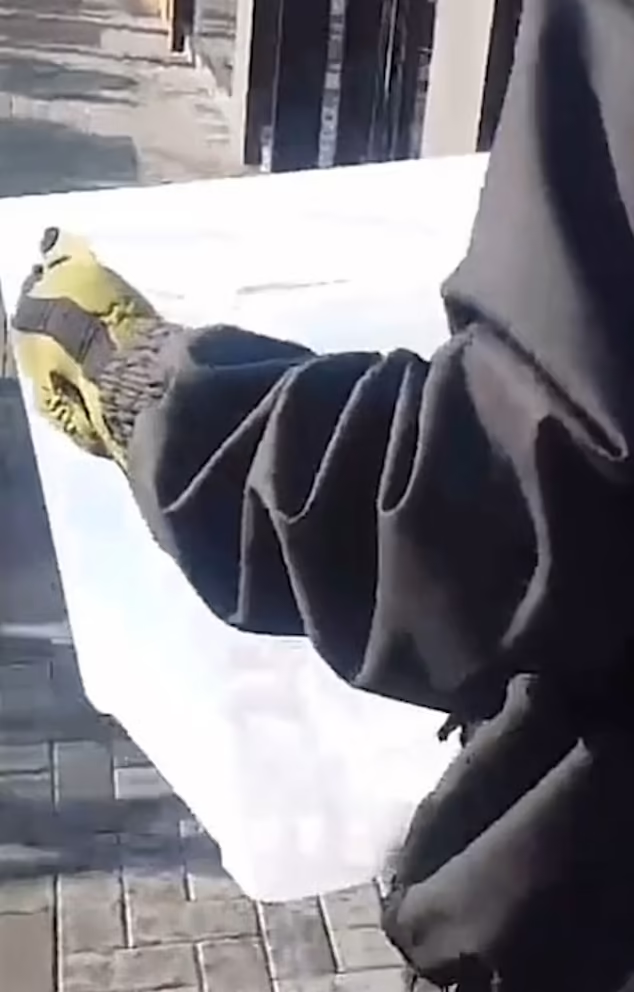 疑似親巴勒斯坦分子襲擊英國麥當勞及星巴克。(互聯網)