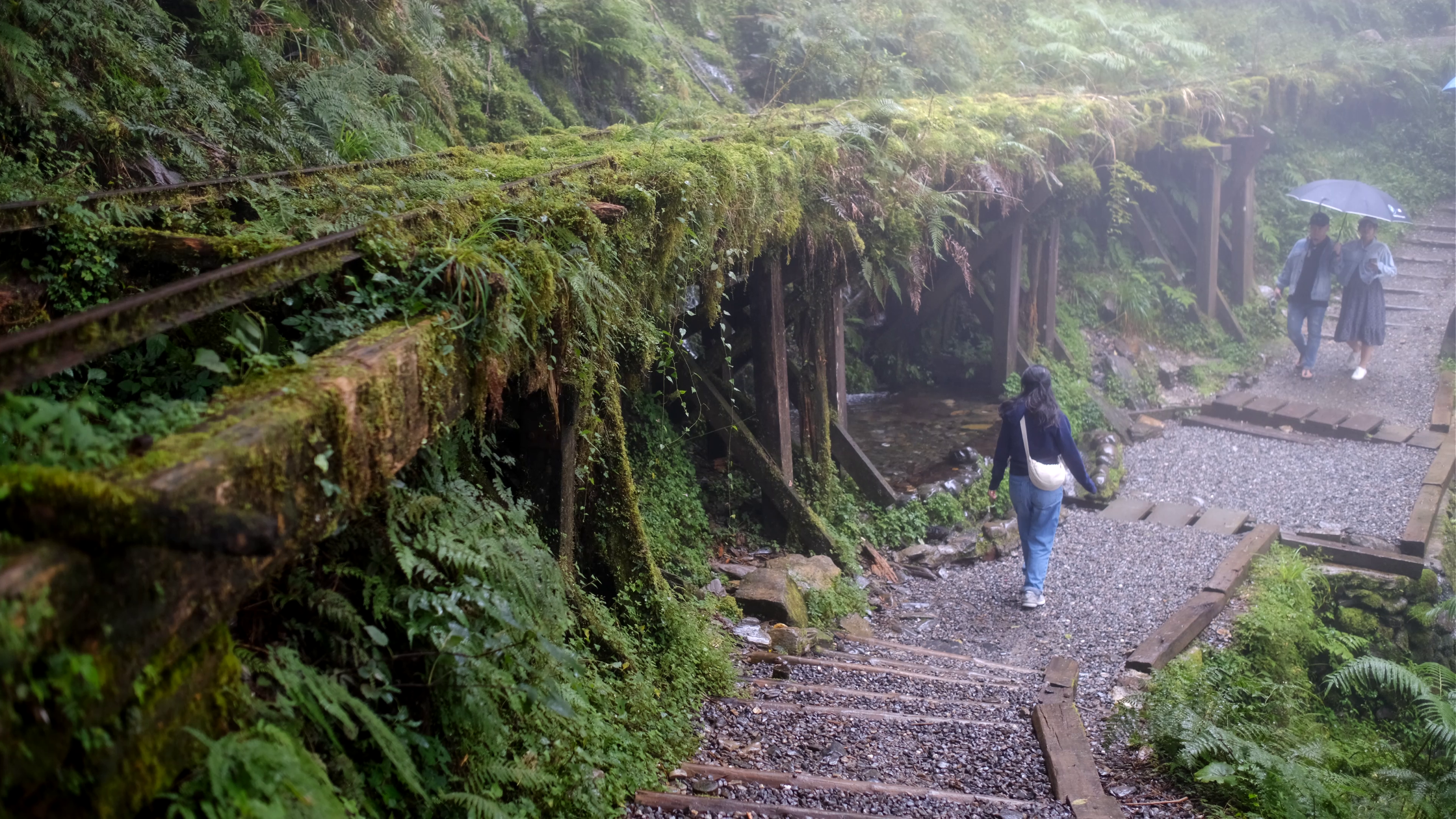 行山新手都可以輕鬆走完
