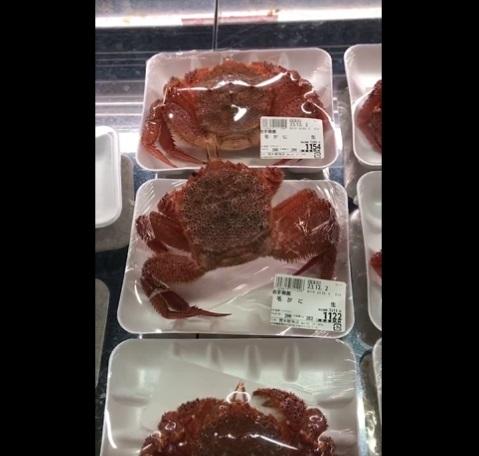 張開蟹鉗、蟹腳。(互聯網)