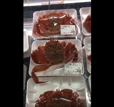 刺穿保鮮紙,伸出蟹腳。(互聯網)