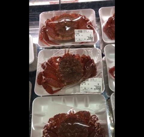 縮回蟹腳。(互聯網)