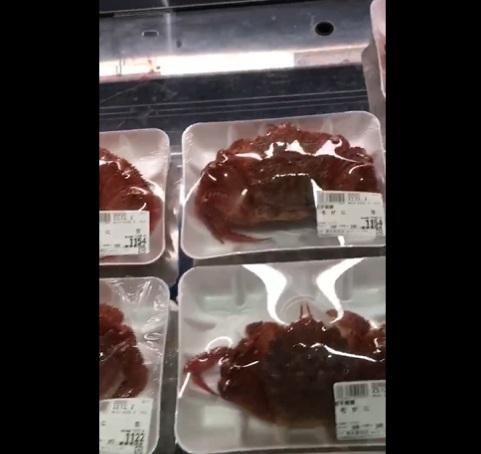 另一隻亦有行動。(互聯網)