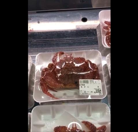 在包裝盒裡郁動。(互聯網)