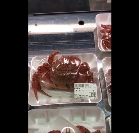 伸展蟹鉗、蟹腳。(互聯網)