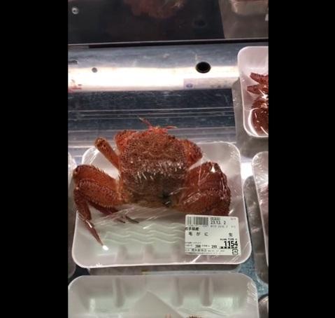 破盒而出。(互聯網)