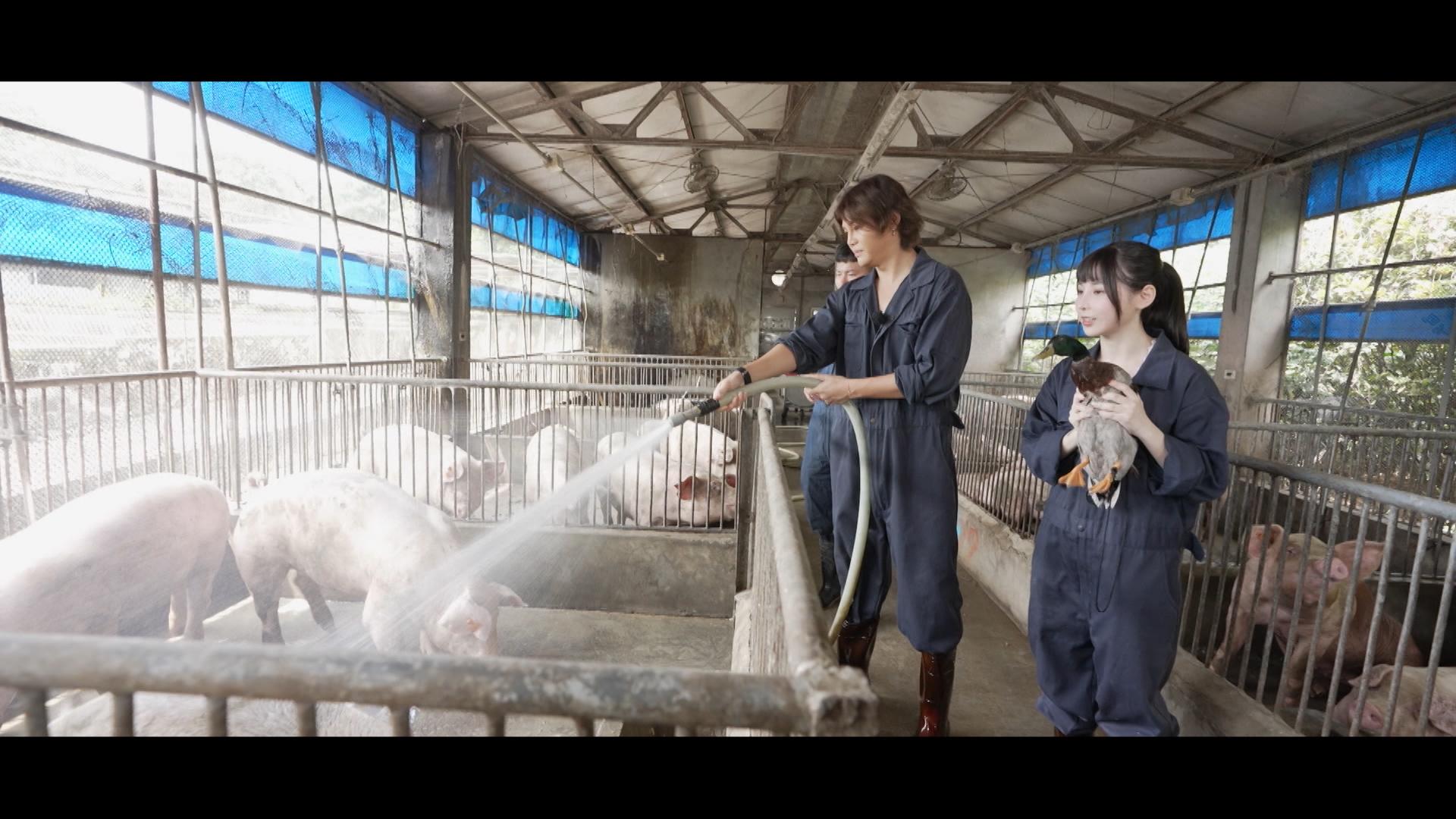 畜產學系 - 首集片頭將率先預告「冷門科系」的豐富課堂體驗