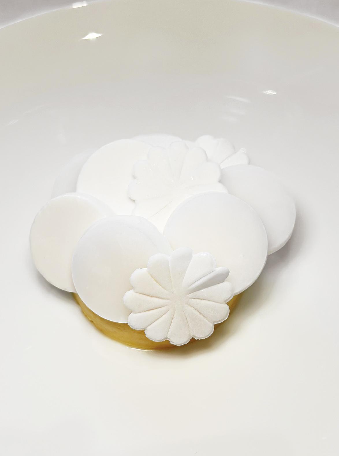 綠島,芒果,椰子