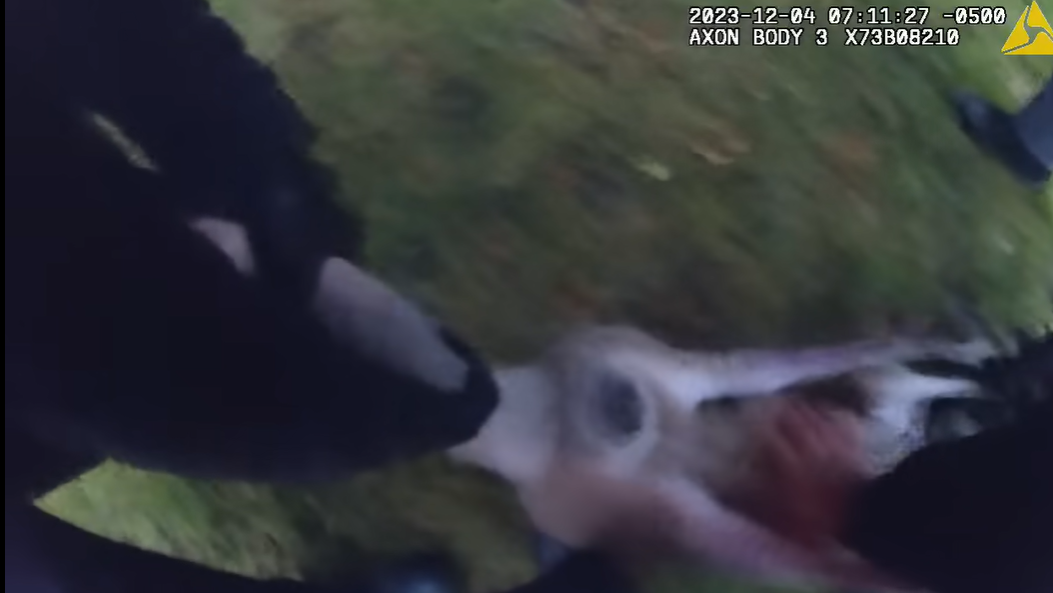 警方出動圍捕時,其中一名警員慘遭袋鼠朝臉部揮了一拳。不過,袋鼠最終仍「落網」,結束近一周的野外逃亡記。