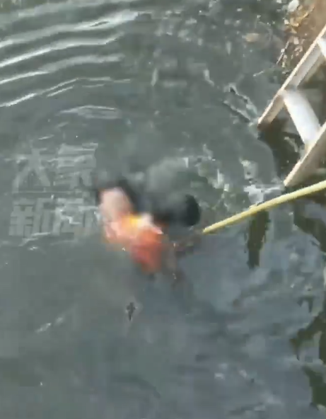 山東一名男子欲跳河輕生,途人見狀隨即跳下水救人,期間卻不斷被輕生的男子將其頭部故意按在水中,最終消防到場將兩人救起。有圍觀市民不值輕生男子所為,掌摑他兩巴。