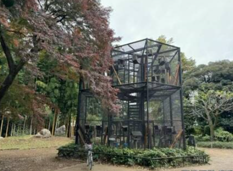 日本東京都武藏野市的井之頭自然文化園,日前使用殺死寄生蟲用的多種藥劑後,園方飼養的日本松鼠相繼死亡,目前數量已達31隻。園方初步推斷松鼠死因可能是殺蟲劑中毒。(網上圖片)