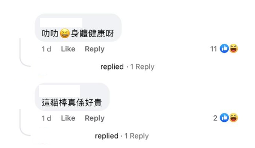 (圖片來源:Facebook@香港貓奴關注組)