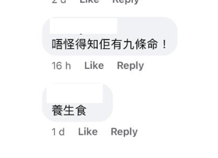 (圖片來源:Facebook@香港貓奴關注組)