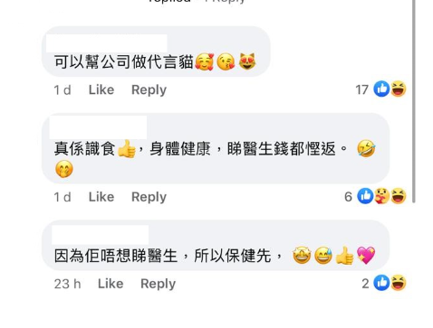 (圖片來源:Facebook@香港貓奴關注組)