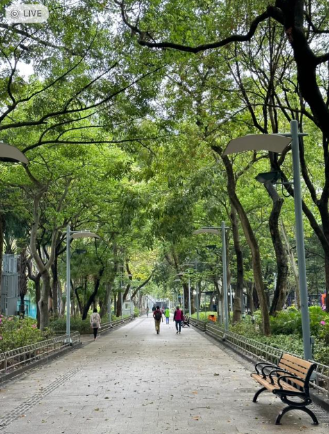 事主表示香港不像內地般已廣泛應用電子支付,因此平時亦要帶現金,同時又指港人的「環保意識」影響了她自備環保袋。(圖片來源:小紅書)