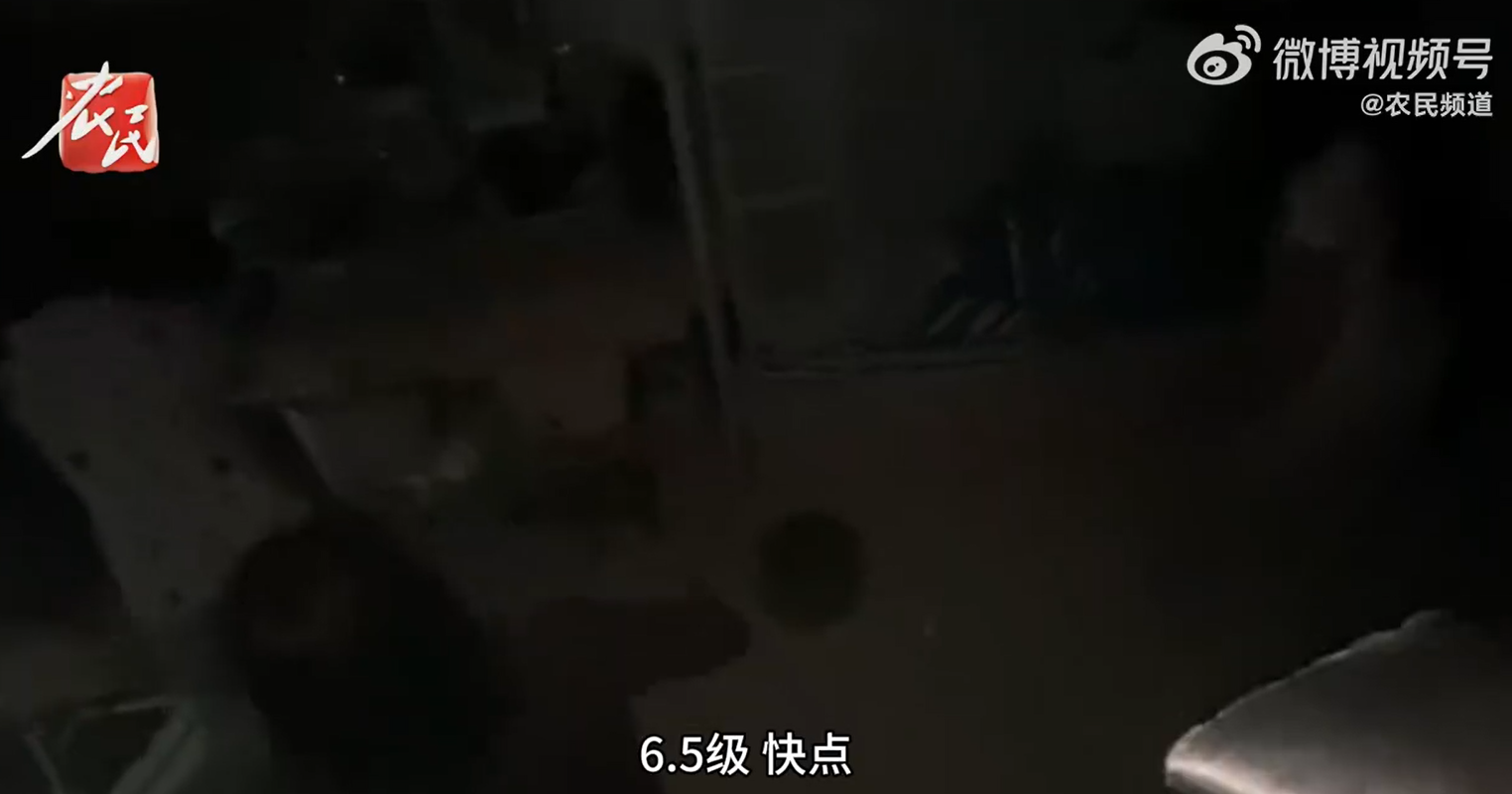 甘肅省臨夏州積石山縣周一(18日)深夜發生6.2級地震,造成重大人命傷亡。當時遠在四川的數名女大學生在晚上11時59分慶祝生日時,也收到了地震預警,嚇得立刻尖叫跳下床往外衝,全過程被紀錄下來。