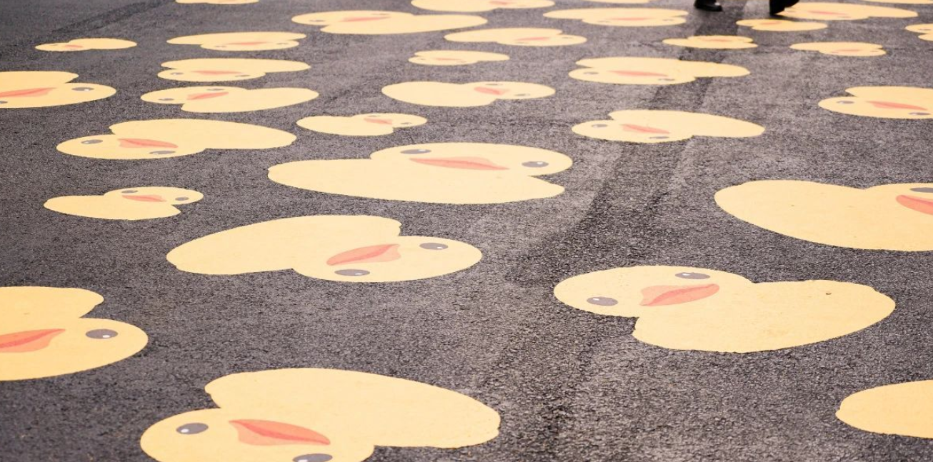 深圳好去處|大黃鴨今「游」入深圳灣 展出至1月20日掀全城打卡熱。(微博圖片)