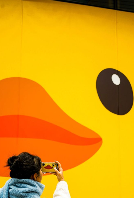 深圳好去處|大黃鴨今「游」入深圳灣 展出至1月20日掀全城打卡熱。(微博圖片)