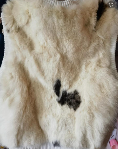 而近日亦有指警方在杭州攔截了一輛裝著950隻貓、17隻狗的貨車,疑似是不法商人賺錢的工具。(圖片來源:小紅書)