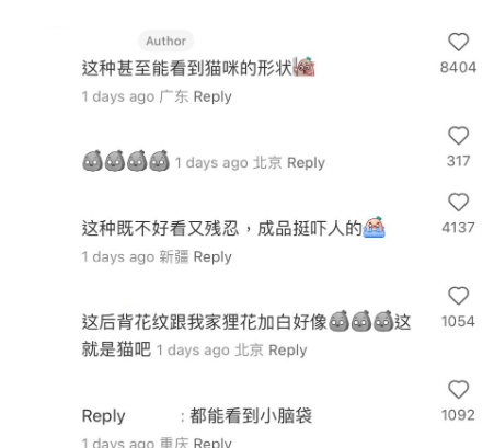 (圖片來源:小紅書)