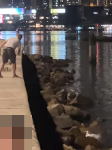 釣魚翁當日用石頭掟傷白鷺後逃走(青衣街坊吹水會facebook群組)