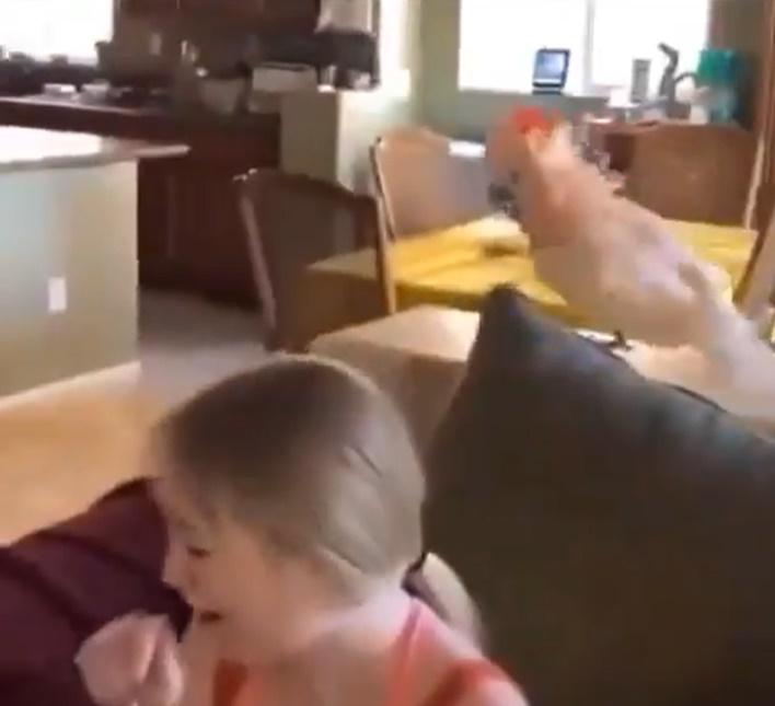 家人聽到過世嫲嫲久違的聲音,都不禁大笑起來。(X)