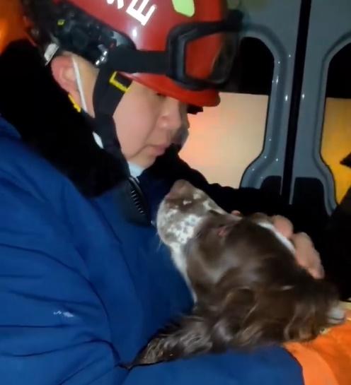 搜救犬伏在領犬員的身上討摸,與一般家犬無異。(微博)
