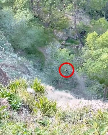 Hussein直墮山崖,可見懸崖雖然非常深。(X)