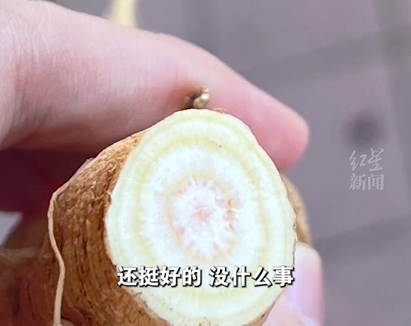 中醫師:商陸中毒可致心臟麻痺而死亡。(微博)