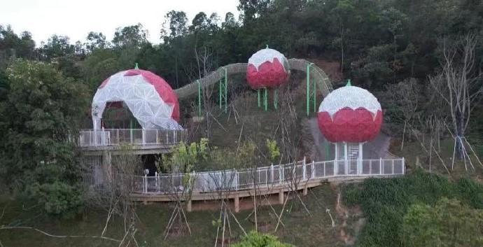 深圳龍崗兒童公園是森林公園,靠山而建(深圳特區報微博)