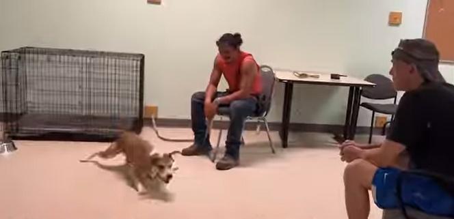 Rotunda連續2個月,天天到收容所探望Alva。(IG)