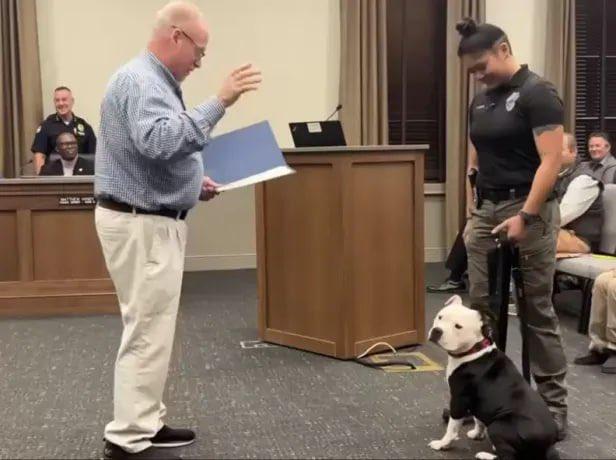 Bolo還接受了正式的入隊授勳儀式,身上戴著象徵身分地位的警章。(FB)