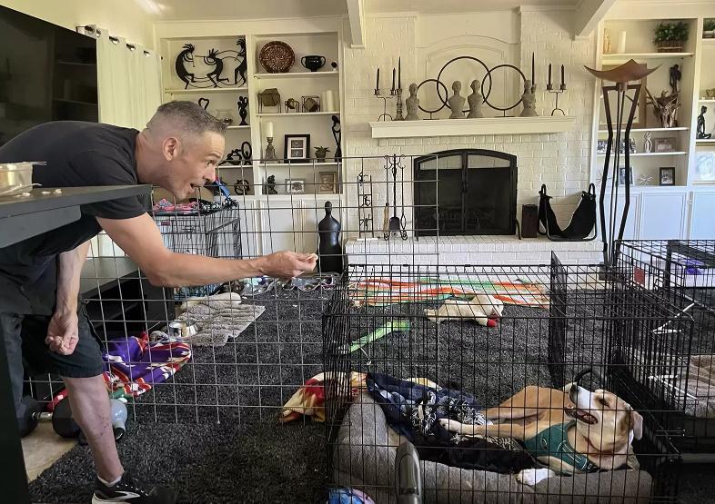 飼主為狗狗改造生活環境。(IG)