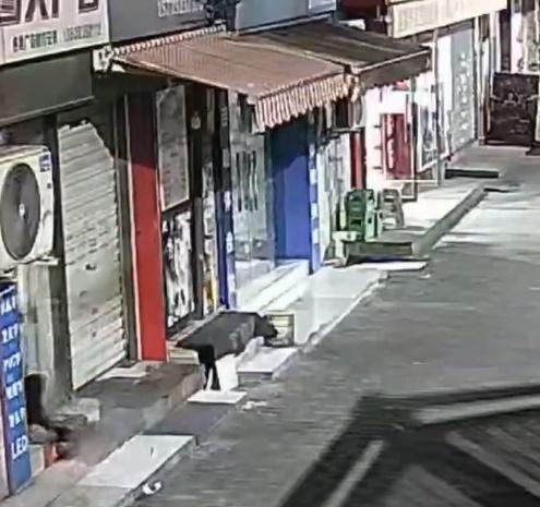 疑犯居然藉由一道只有約20厘米闊的門縫進入店內行竊。(微博)