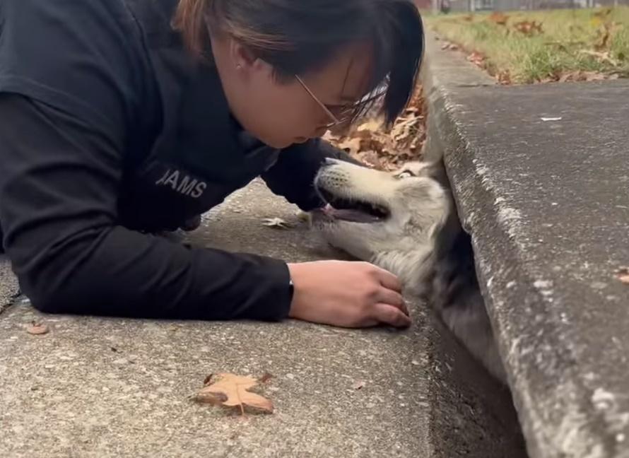 Sebastian將頭塞在縫隙中往外張望。(FB)